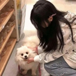 忍者的力量革命无限金币下载